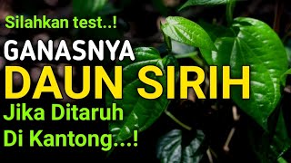 SILAHKAN TEST..! Keajaiban Meletakkan Daun Sirih Di dalan Kantong, Menurut Dunia Spritual