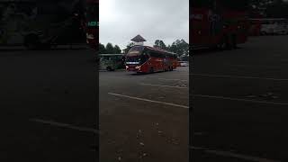 BUS BERLIAN JAYA #berlianjaya #shorts