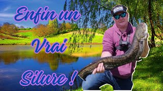 Reel Silure 2024 Partie 2 ! #fishing #fisherman #fish #silure #fishvideo #foryou