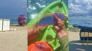 The Secrets to Catching More Snapper on Beaches of Miami (South Beach Kayak Fishing)