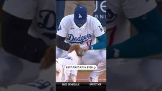 BEST first pitch ever Shohei Ohtani and Decoy 💙💙💙💙💙💙