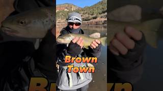 Going to Browntown 💯🔥🔥🔥#FishingdowntownDenver #Fishing,Colorado #BrownTrout #Colorado River ￼