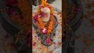 गंगाधर आए शिव गंगा धराय हर हर शंभू नमः शिवाय #new_4k_mahadev_whatsaap_short_status_video_2023