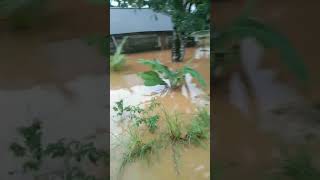 Banjir didesa lembah keramat , kecamatan Toili barat kabupaten Banggai , Rabu 7/8/2024