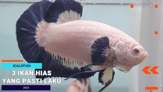 IKAN HIAS PALING LARIS