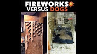 3 Strategies for Detonating Your Dogs Fireworks Fear