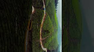 munnar ❤️ Kerala god's own country ❤️friends ❤️ #drone #roadtrips #shorts