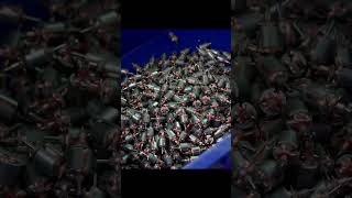 The amazing production process of micro drive motors