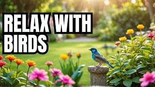 Five Minutes to Relax with Small Garden Birds