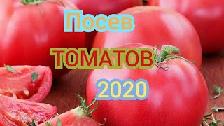 Посев ТОМАТОВ на рассаду! Сезон 2020! Рассада томатов будет крепкой и здоровой!