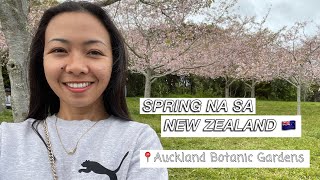 Spring in New Zealand 🇳🇿 (Vlog #7) #pinoynz