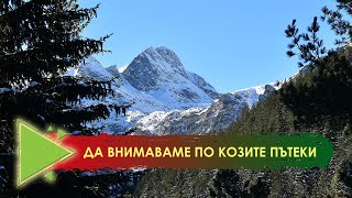 "Безопасност в зимната планина" - Случаят Мальовица 10 - 14.11.2019г. - изводи и казуси