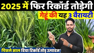 Gehun ki Top 3 Variety | Gehu ki best variety🌱Gehu ki kheti kab aur kaise karen गेहूं बेस्ट वैरायटी