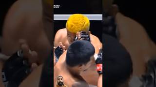 Ultimate UFC fighting