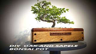 Making a Wooden Bonsai Pot