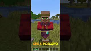 LA VERITA' NASCOSTA SUI VILLAGER DI MINECRAFT | #shorts