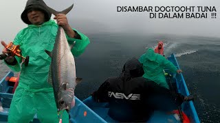 DISAMBAR DOGTOOHT TUNA DI SAMAL BADAI