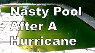 How To Clear Up Nasty Green Pool After A Hurricane | Perfect In Only 4 Days