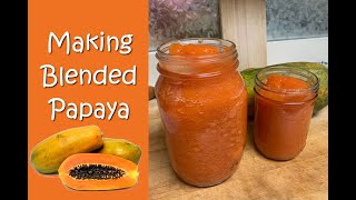 Making Blended Papaya [Medical Medium Healing]