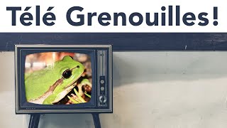 Télé Grenouilles !