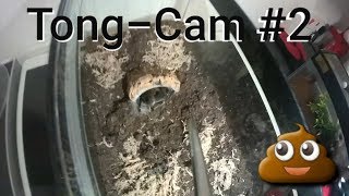 Tong-Cam Take 2 Tarantula Feeding Video