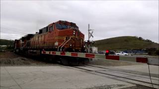 Manifests at Maltby, CA Including NS 1071 (Central RR of New Jersey)