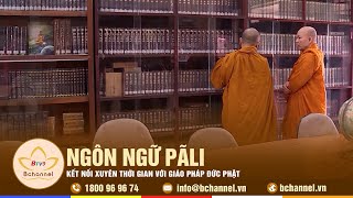 Tiêu điểm: Ngôn ngữ Pãli - kết nối xuyên thời gian với giáo pháp Đức Phật | Bchannel