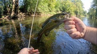 Fly Fishing Chester County