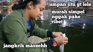 UMPAN JITU LELE ||jangkrik lempar langsung leb