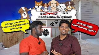 போலி கிறிஸ்தவர்களால் நாய்களுக்கு வந்த சோதனை ! #todayschristianity #roasting