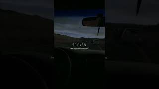 من كان يرجوا لقاء الله | القارئ عبد الرحمن مسعد 🖤🎧