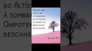 JESUS É O CAMINHO, A VERDADE E A VIDA #jesus #pregação #Deus #fiel #Jesuseocaminho #deuséfiel