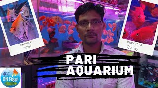 Pari Aquarium || New fishes with prices || Arif Momin || New fish stock || Kurla fish market ||