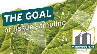 The Goal of Tissue Sampling