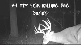 Favorite tip for killing BIG BUCKS!!!