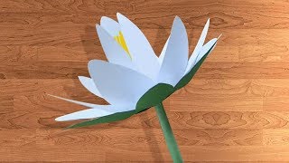 How to make Water Lily  / শাপলা ফুল