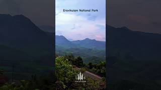 Eravikulam National Park is must visit place in Munnar. Full vlog is available on channel. #munnar