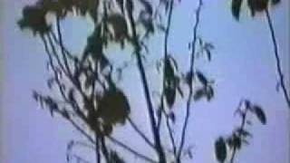 UFO over Gualaceo, Ecuador - September 6, 1996