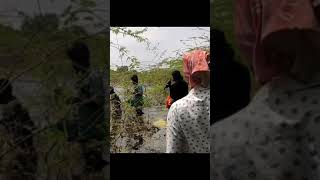 rajalingam95 #fishing #amazing video #கிராமத்து #shorts மீன் பிடித்தல் வீடியோ காட்சிகள் #villlage