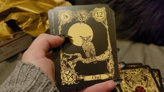 Lovecraft Lenormand from Nemos Locker Full Flip Thru