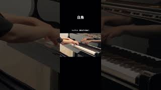 白鳥（トンプソン　現代ピアノ教本１）　#piano #ピアノ演奏