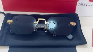 cartier  /Buffalo Horn Glasses + Sunglasses Review