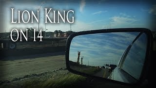 Lion King on I4 (Florida)