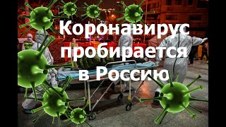 Коронавирус пробирается в Россию