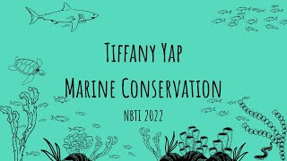 Tiffany Yap- Marine Conservation