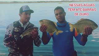 PESCARIA DAS PACUS DOURADAS, ANZOL FISGOU NO BEIÇO, E A VARINHA EMPENOU!