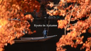 Kyoto in Autumn is truly BUCKET LIST material.