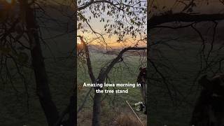 Incredible morning hunt in Iowa! #bowhunting #publicland #saddlehunting #bowhuntingwhitetails