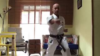 Karate En Casa - Clase 2: Rotación/Vibración de Cadera