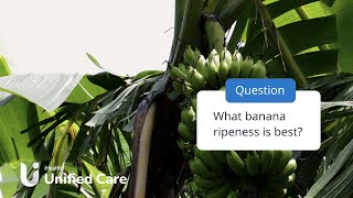 Unified Care - What Banana Ripeness Is Best?